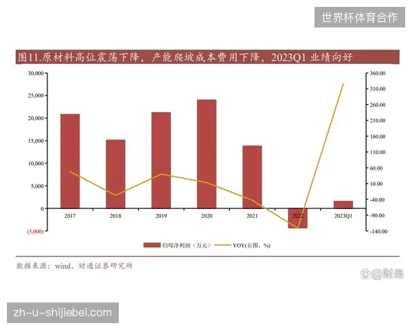 体育赛事运营已从单纯人力安防转向全周期医疗联动竞争